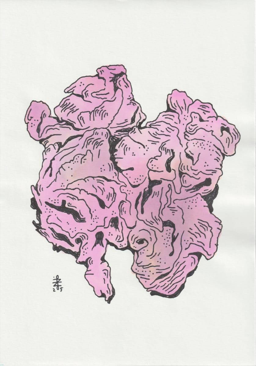 abstraction-scrunched-2025
